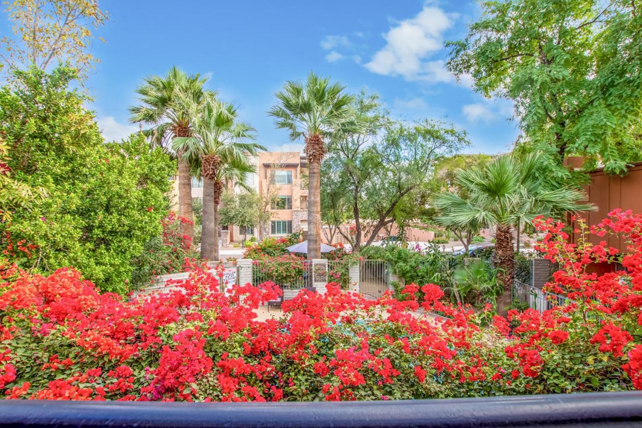 Desert Rose Villas - Secluded One Bedroom In Old Town Scottsdale, Arizona Exterior photo