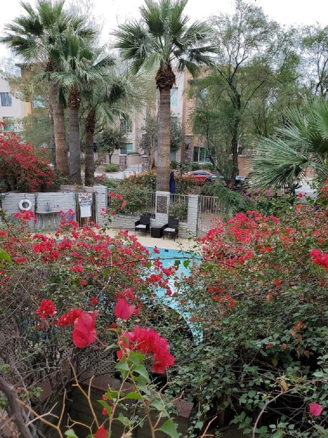 Desert Rose Villas - Secluded One Bedroom In Old Town Scottsdale, Arizona Exterior photo